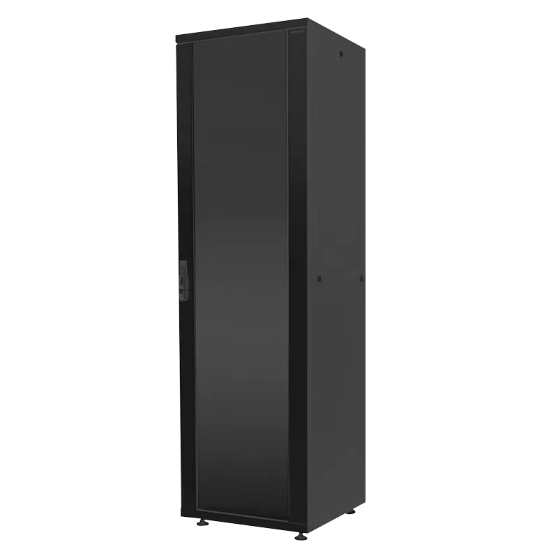 19" Netzwerk Eco Standschrank 16 HE, 600 x 600 mm, Schwarz