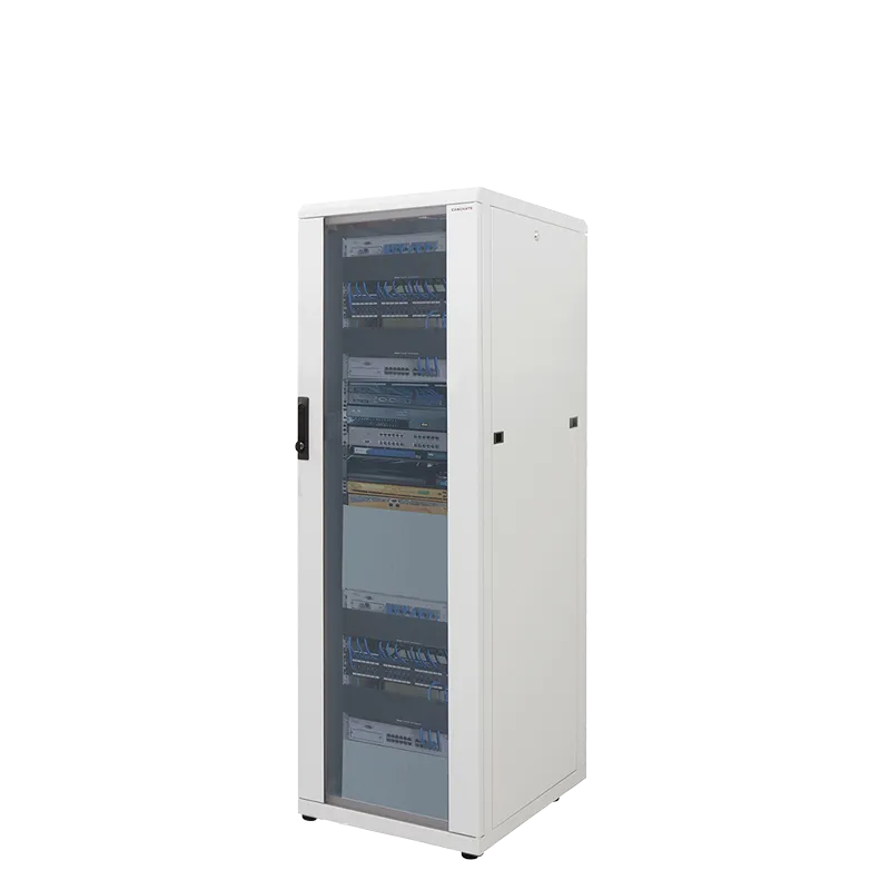19" Netzwerk Standschrank, 16HE, 600 x 600 mm, Grau