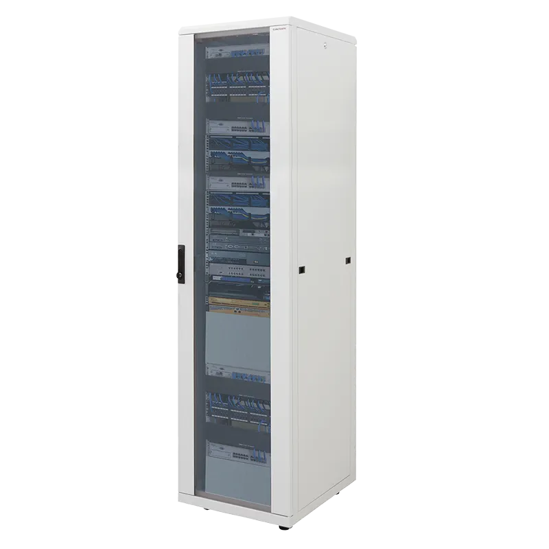 19" Netzwerk Standschrank, 42HE, 600 x 600 mm, Grau