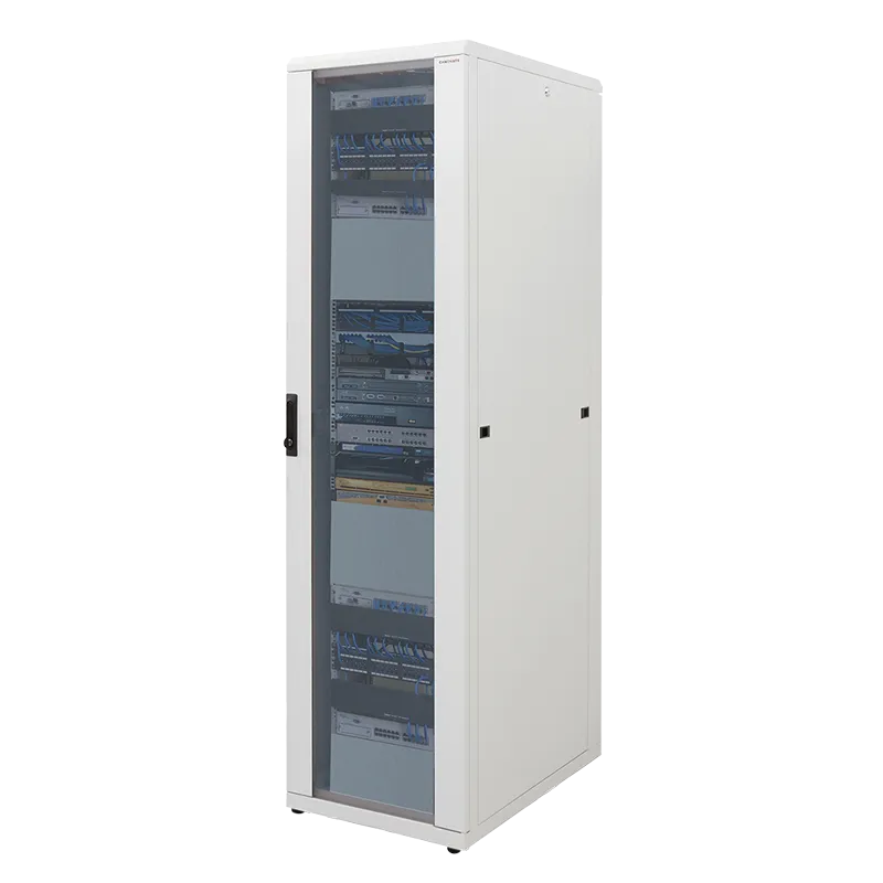19" Netzwerk Standschrank, 42HE, 600 x 800 mm, Grau
