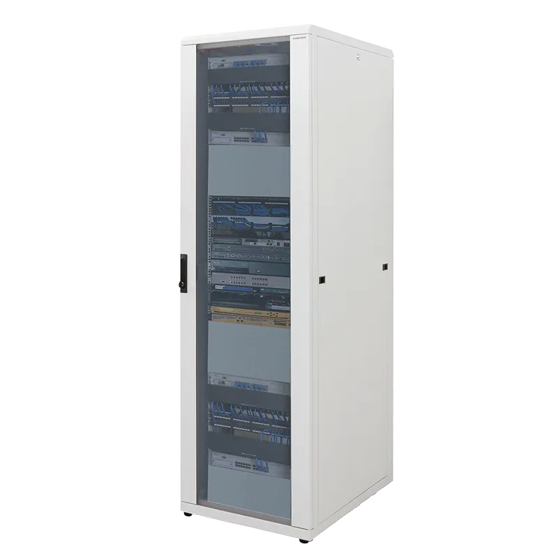 19" Netzwerk Standschrank, 42HE, 800 x 800 mm, Grau