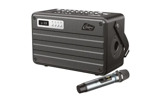 Mobile Beschallungsanlage C.PERKINS "ROADY FL" All-in-one-Combo mit Funkmikrofon