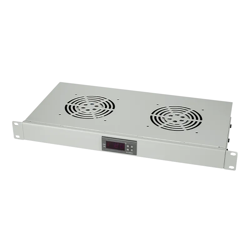 19" Lüftereinschub mit 2 Lüftern, mit Thermostat