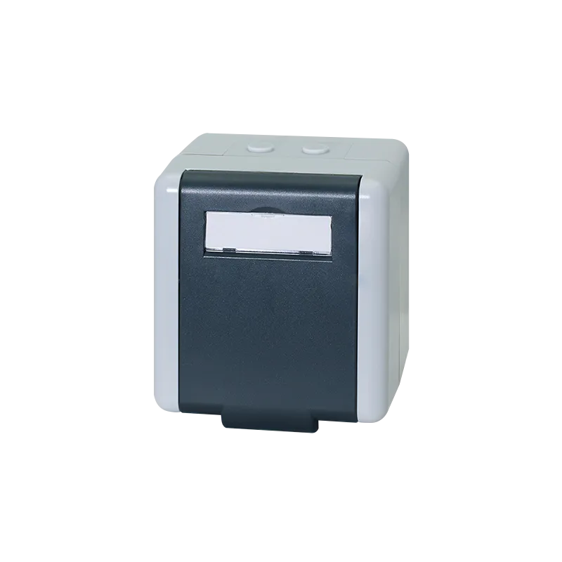 Outdoor Aufputzdose für 2 RJ45 Cat.6A Keystone Module, IP44