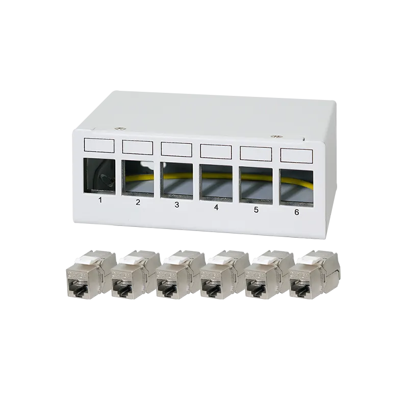 Patch Panel 6 Port mit 6 Cat.6A Keystone Modulen