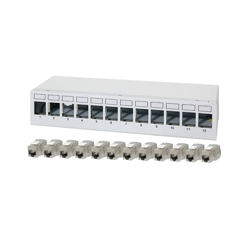 Patch Panel 12 Port mit 12 Cat.6A Keystone Modulen